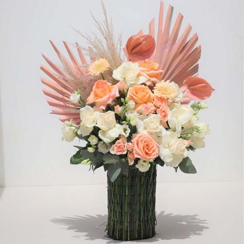 Peach Stylish