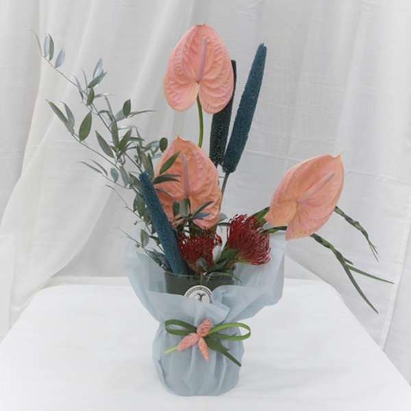 Flower passion